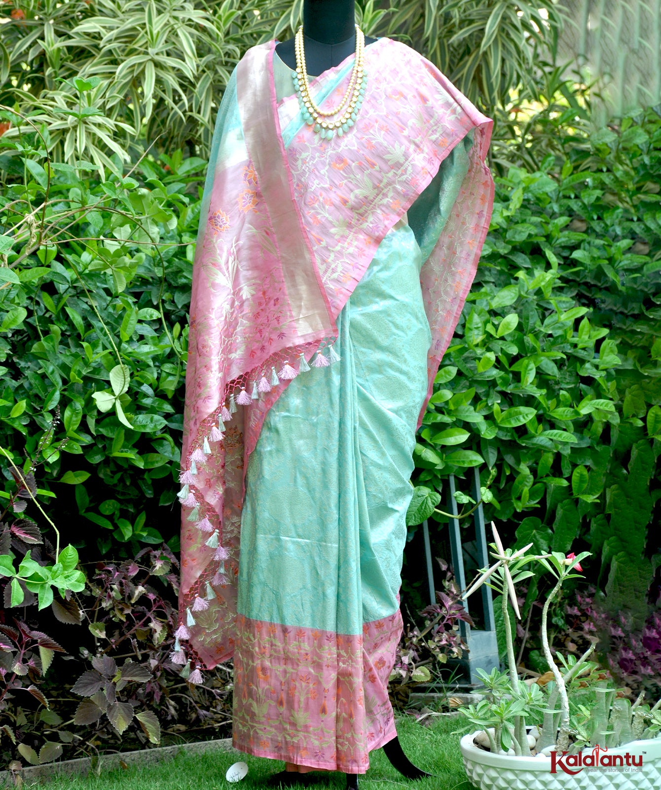 Tissue Banarasi Saree with Jamdani Tilfi Border