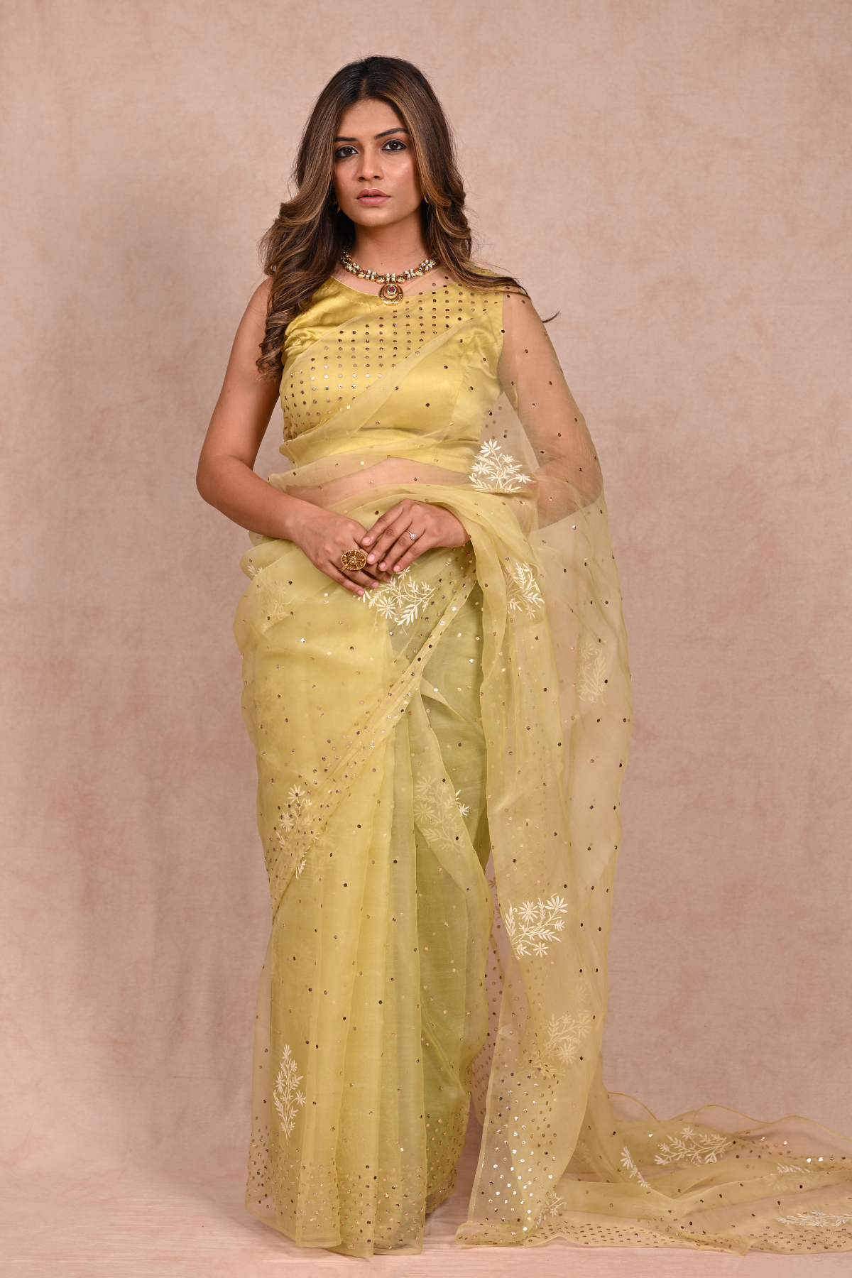 Mint Green Organza Chikankari Saree