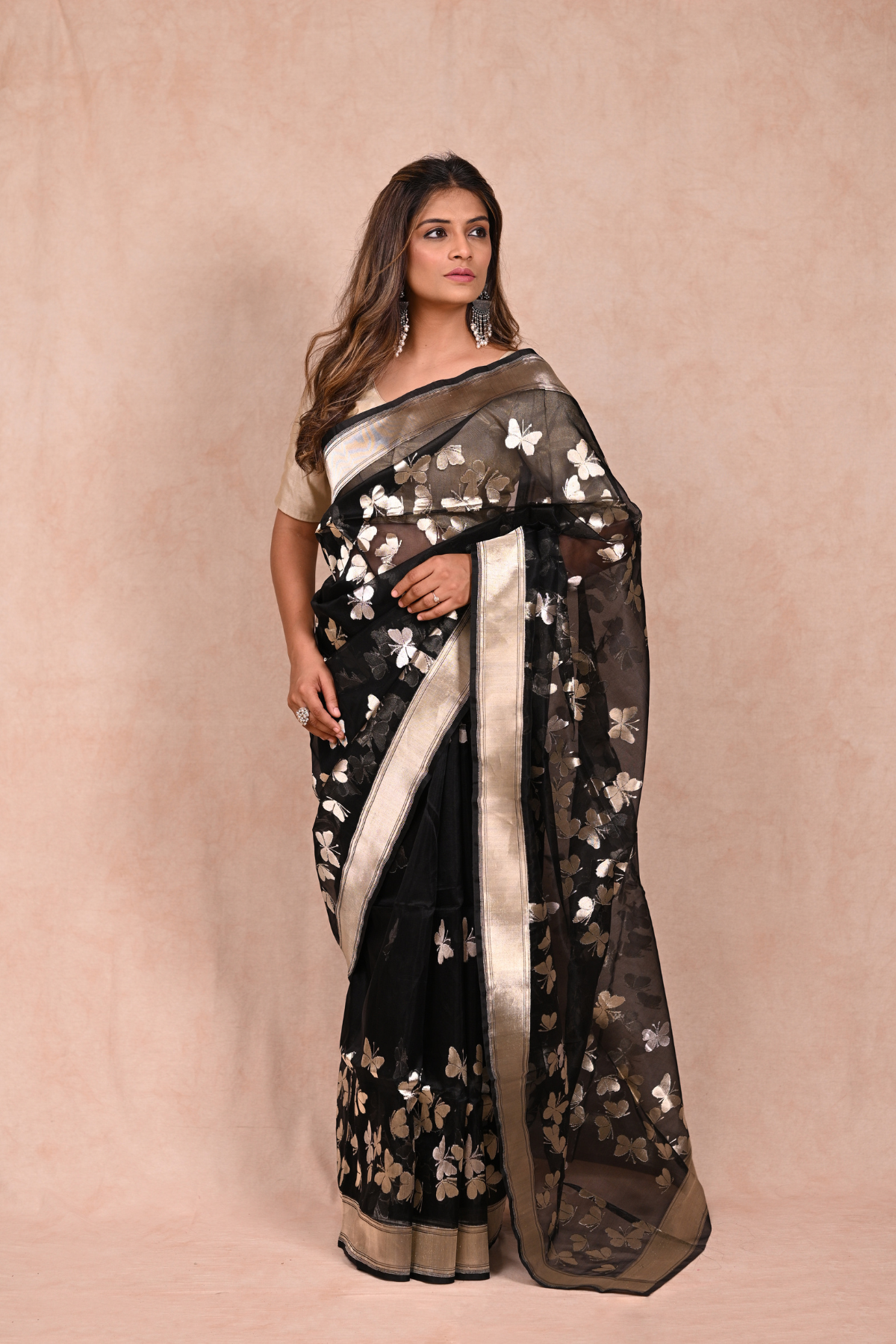 Black Organza Saree with Butterfly Zari Motifs