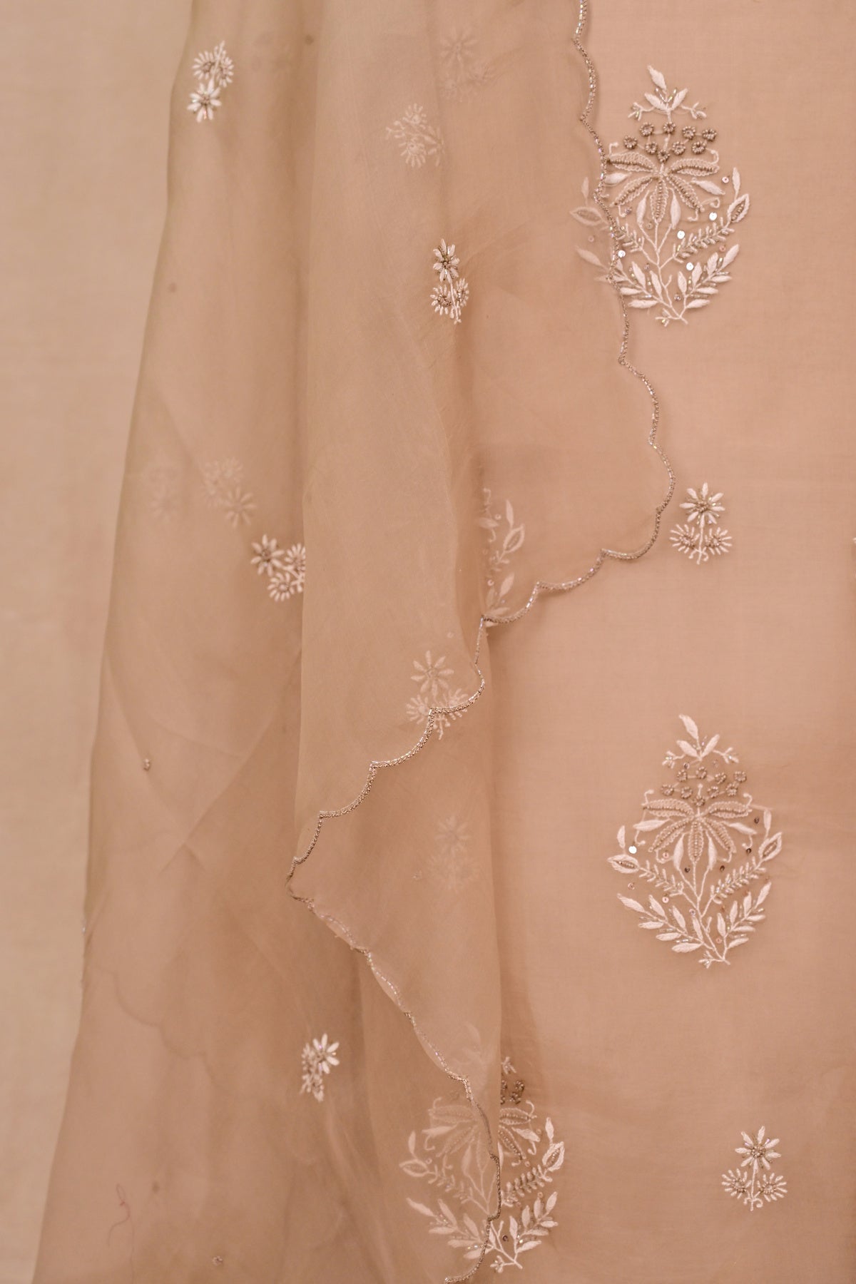 Light Brown Organza Chikankari Suit