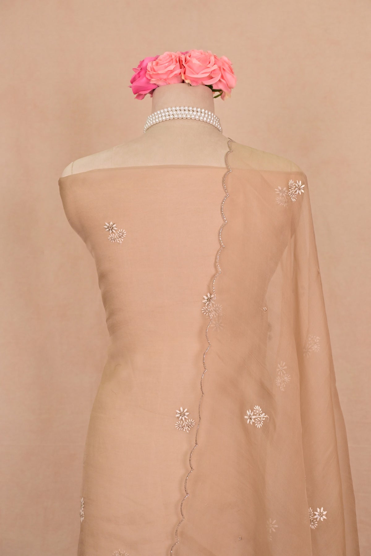 Light Brown Organza Chikankari Suit