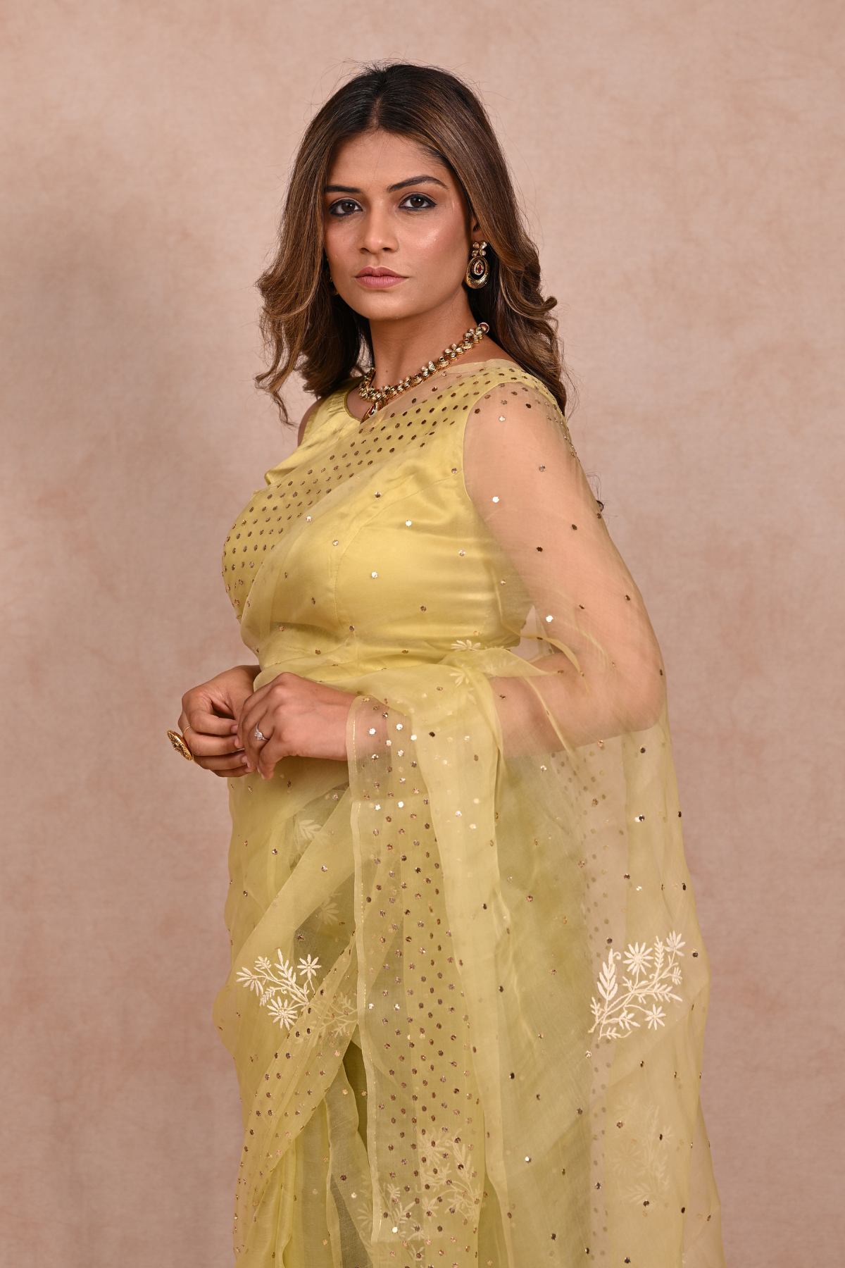 Mint Green Organza Chikankari Saree