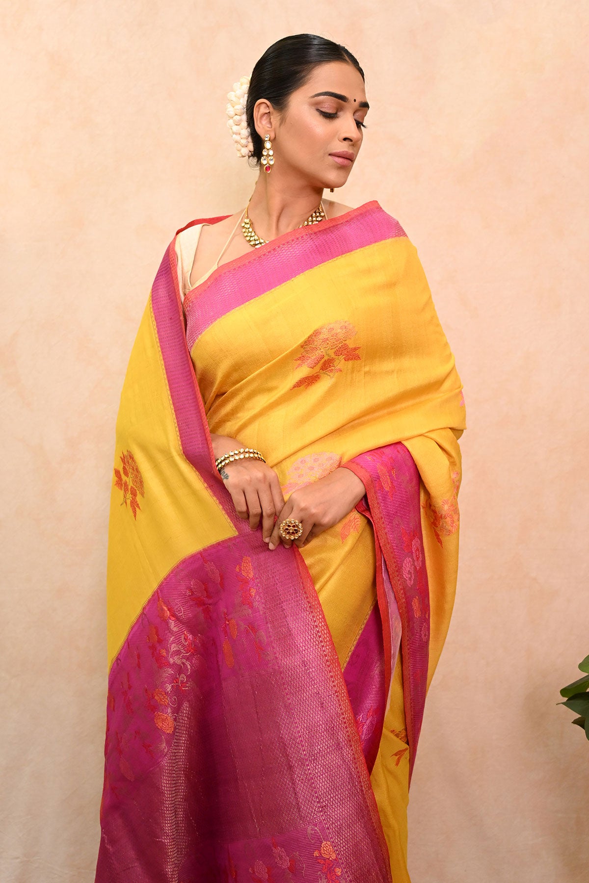 Tussar Georgette Banarasi Saree with Tilfi Meenakari Nakashi & Resham Floral Motifs