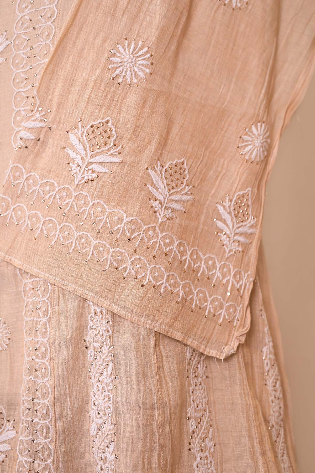 Beige Tissue Chanderi Chikankari Anarkali