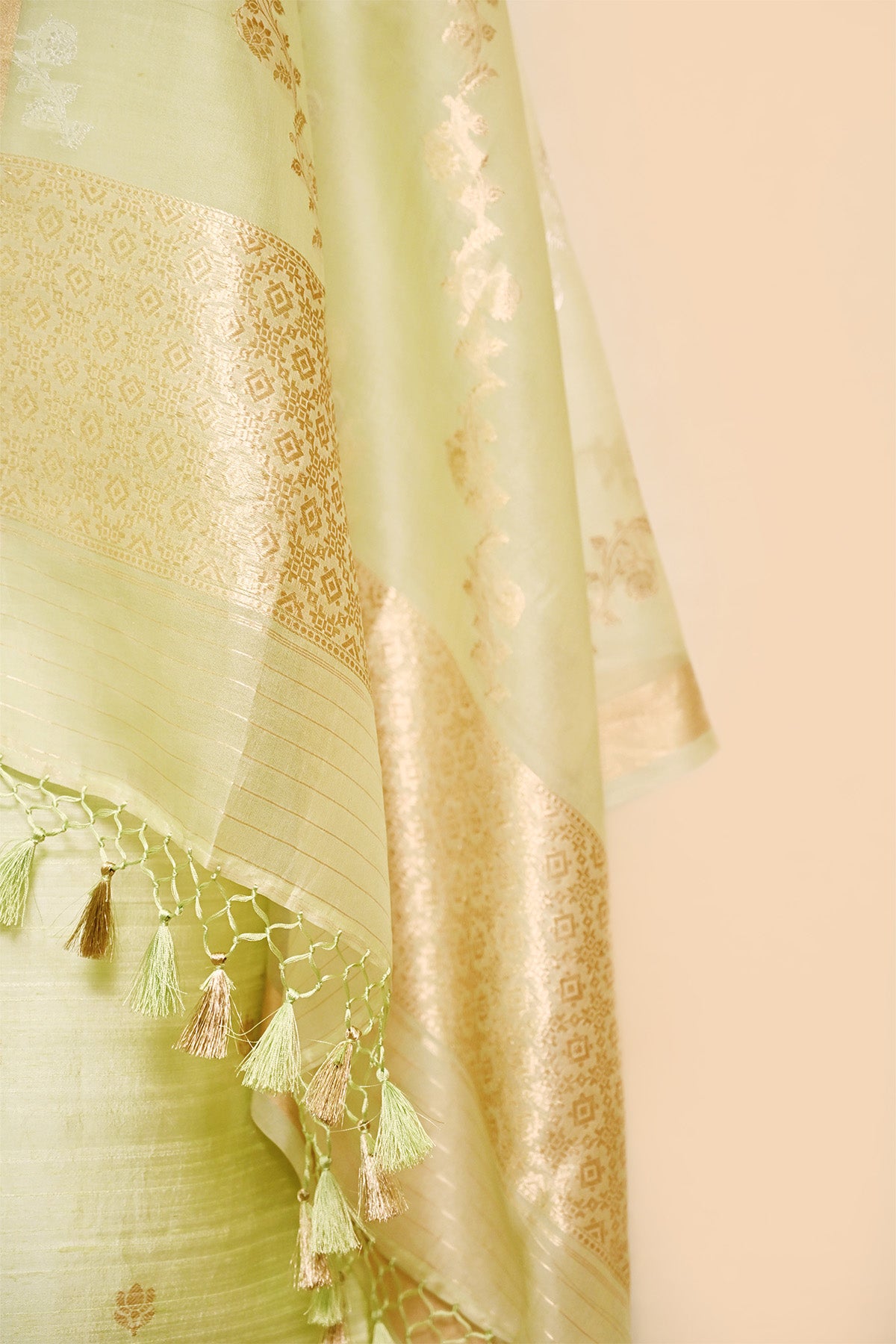 Pastel Green Raw Silk Banarasi Suit