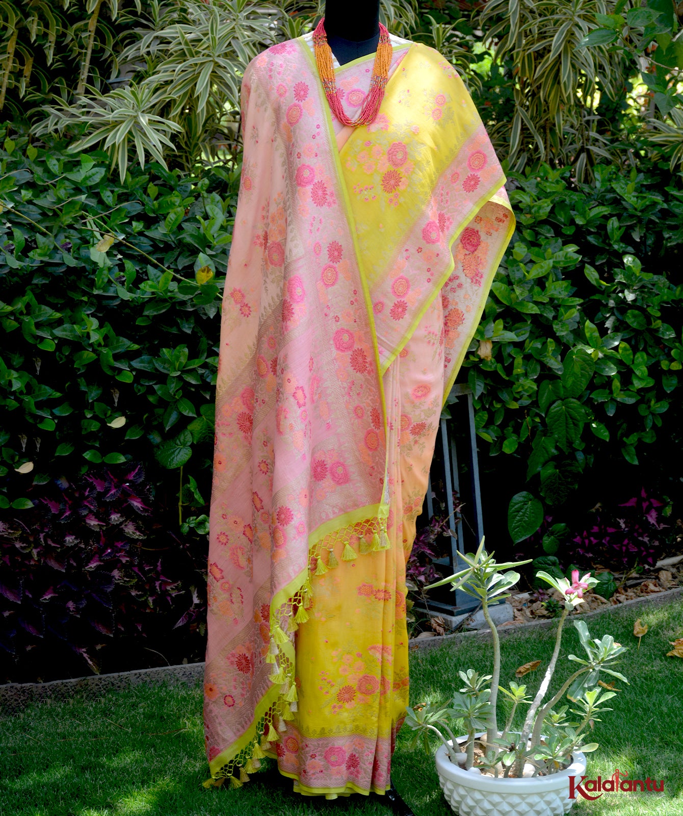 Tussar Georgette Banarasi Saree with Multicolor Resham Floral Work & Ombre Dye