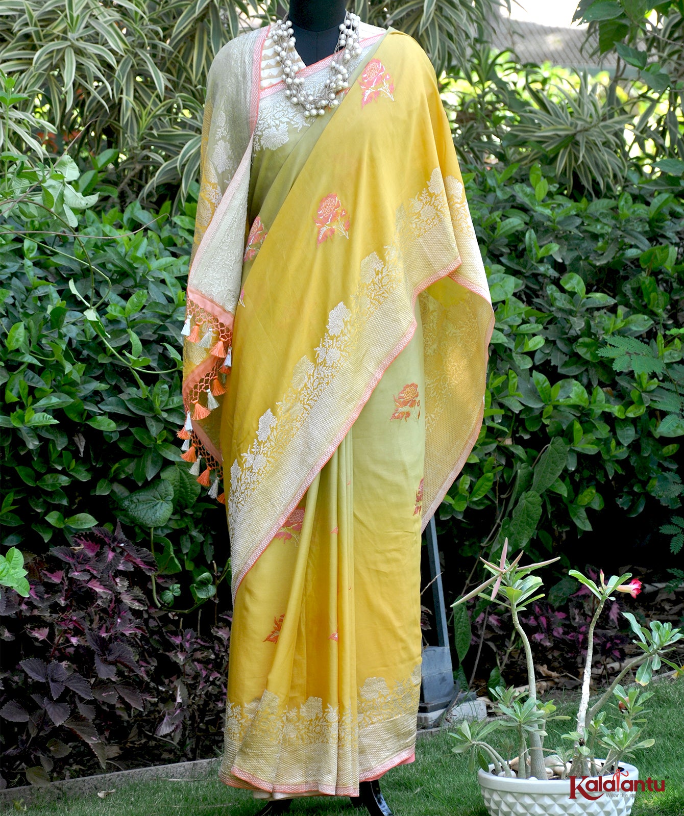 Silk Georgette Banarasi Saree with Tilfi Nakashi & Ombre Dye