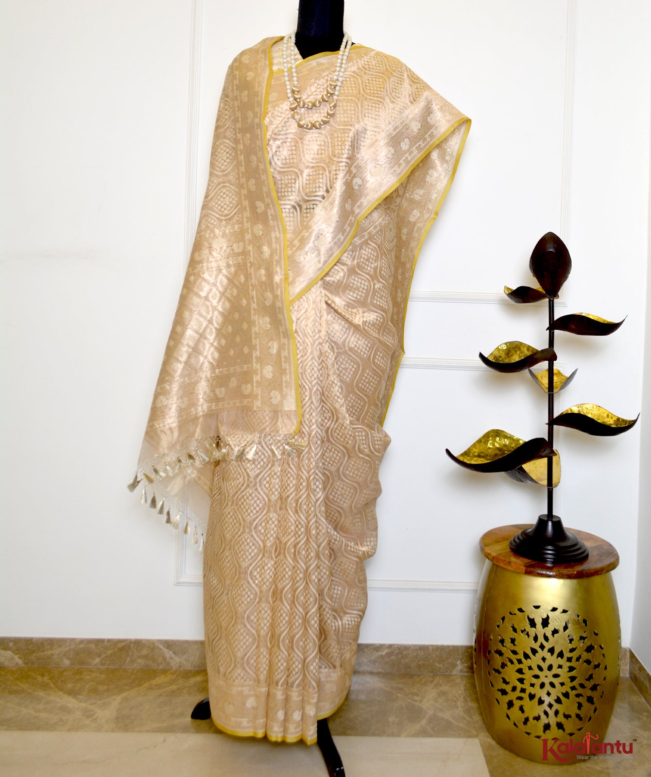 Kora Tissue Patola Banarasi Saree with All Over Zari Work