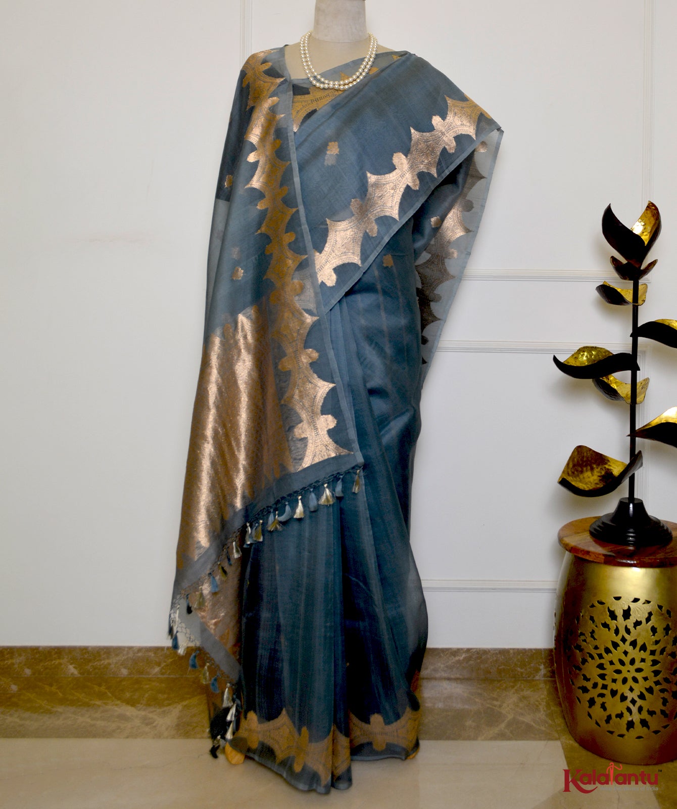 Pure Organza Banarasi Saree with Zari Motifs and Broad Border