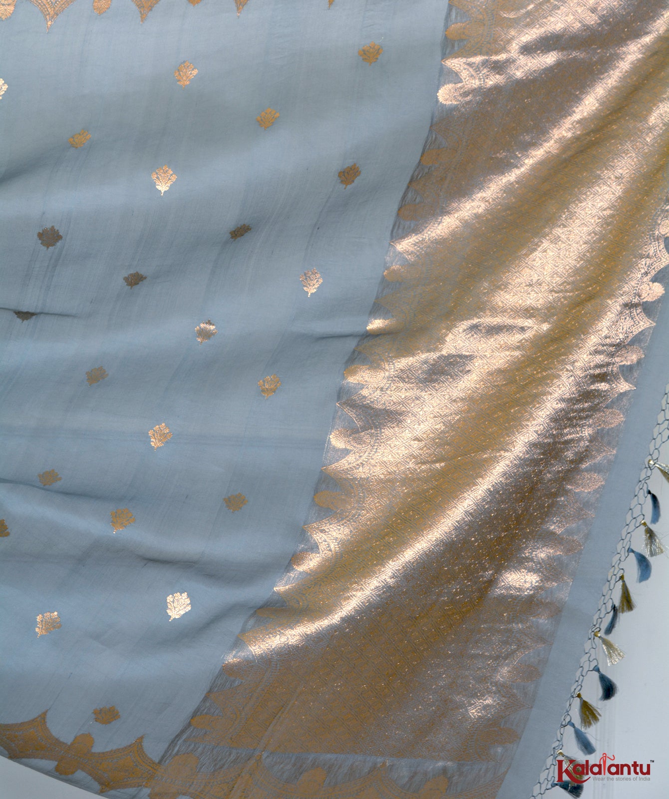 Pure Organza Banarasi Saree with Zari Motifs and Broad Border
