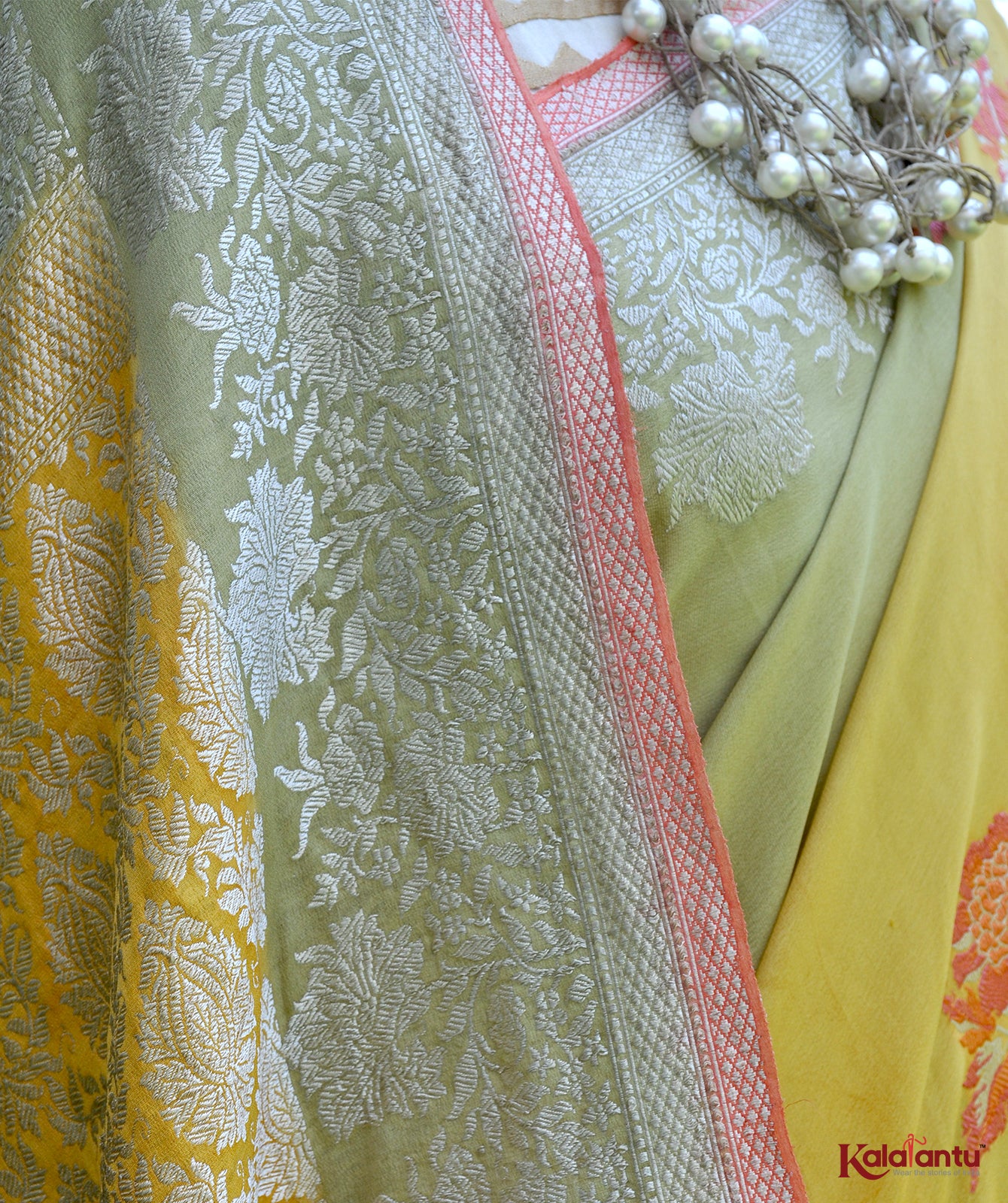 Silk Georgette Banarasi Saree with Tilfi Nakashi & Ombre Dye
