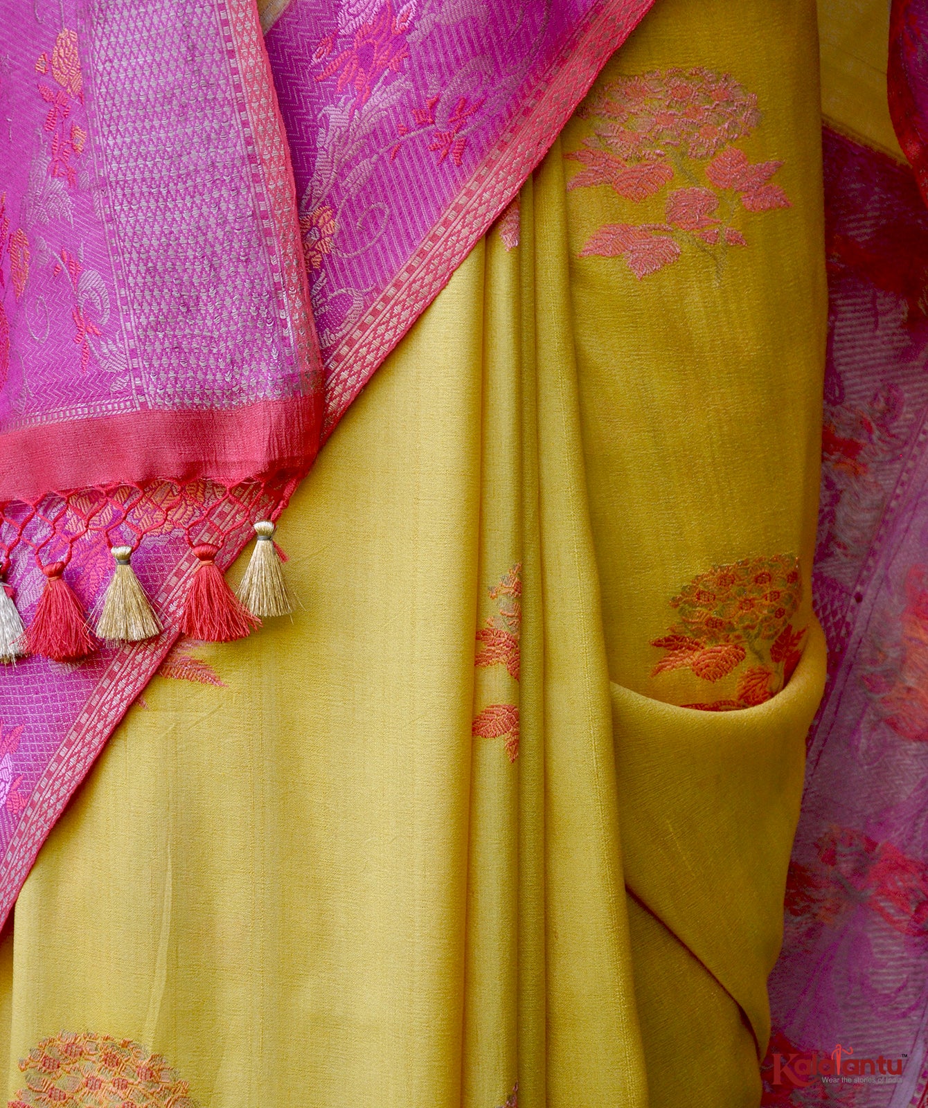 Tussar Georgette Banarasi Saree with Tilfi Meenakari Nakashi & Resham Floral Motifs