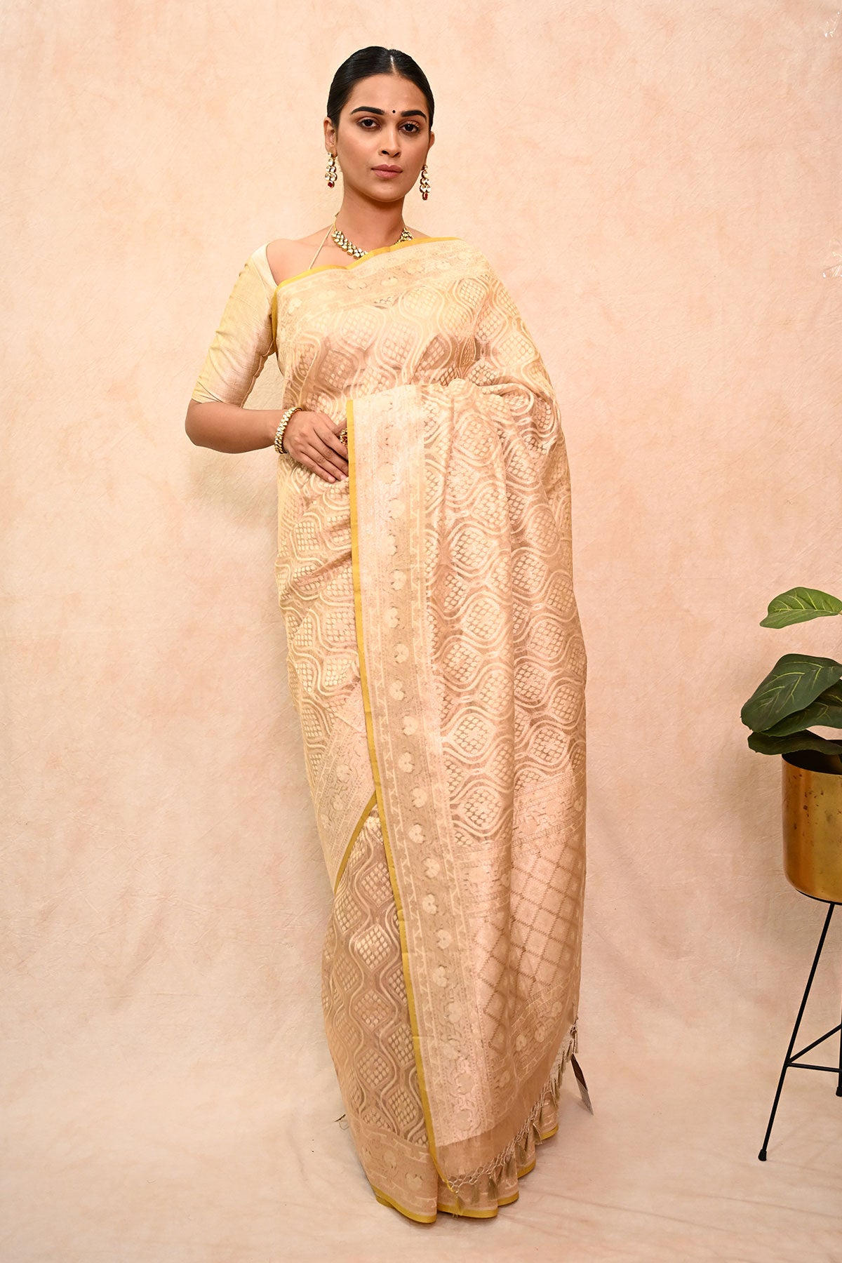 Kora Tissue Patola Banarasi Saree with All Over Zari Work