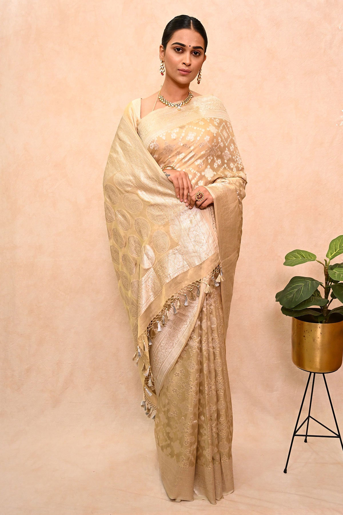 Pure Georgette Tissue Banarsi Saree with Rupa Work