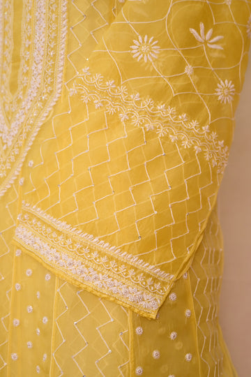 Yellow Organza Chikankari Anarkali
