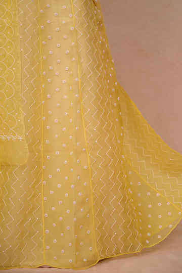 Yellow Organza Chikankari Anarkali