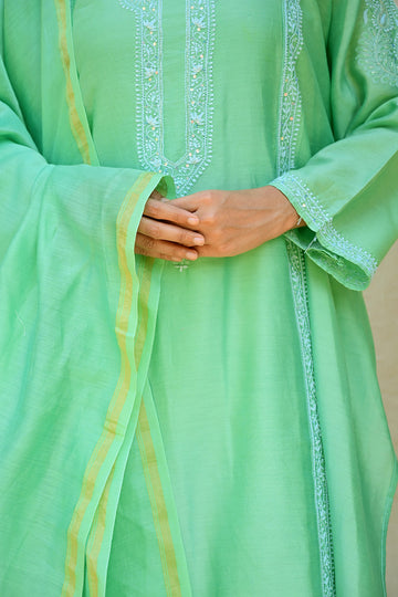 Parakeet Green Chanderi Chikankari Suit
