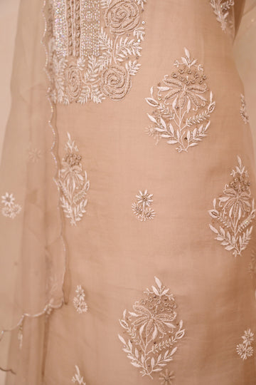 Light Brown Organza Chikankari Suit