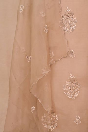 Light Brown Organza Chikankari Suit