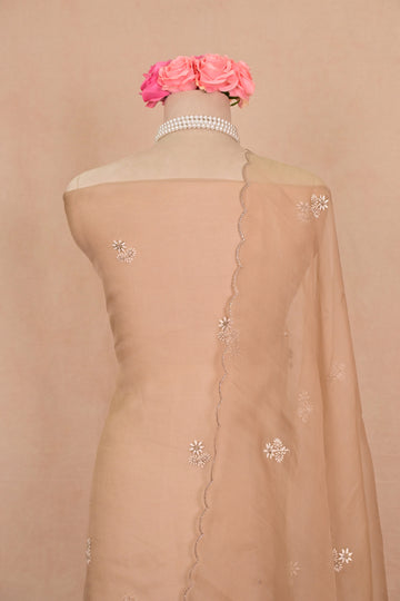 Light Brown Organza Chikankari Suit