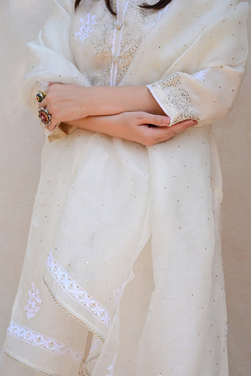 Ivory White Organza Chikankari Suit