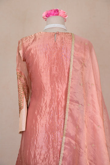 Salmon Pink Tissue Silk Zardozi Suit
