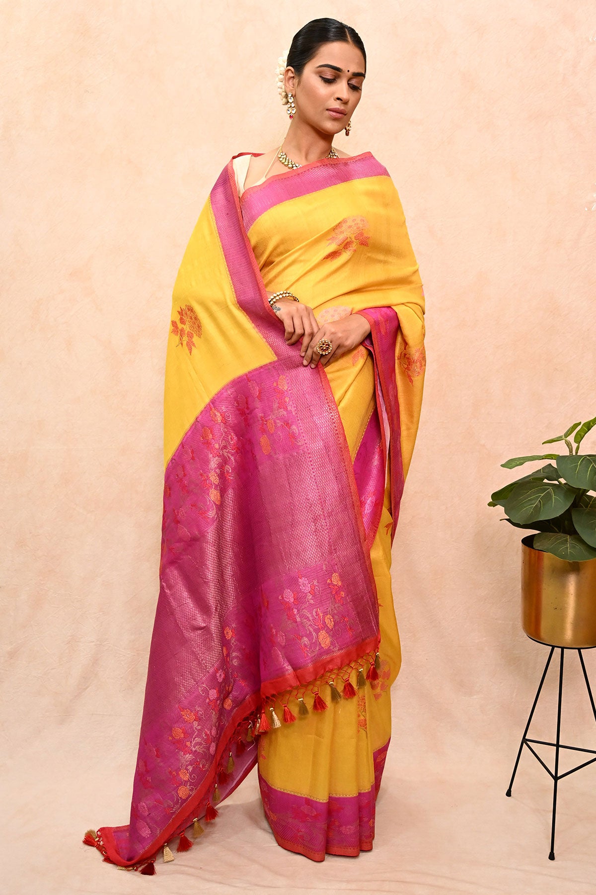 Tussar Georgette Banarasi Saree with Tilfi Meenakari Nakashi & Resham Floral Motifs