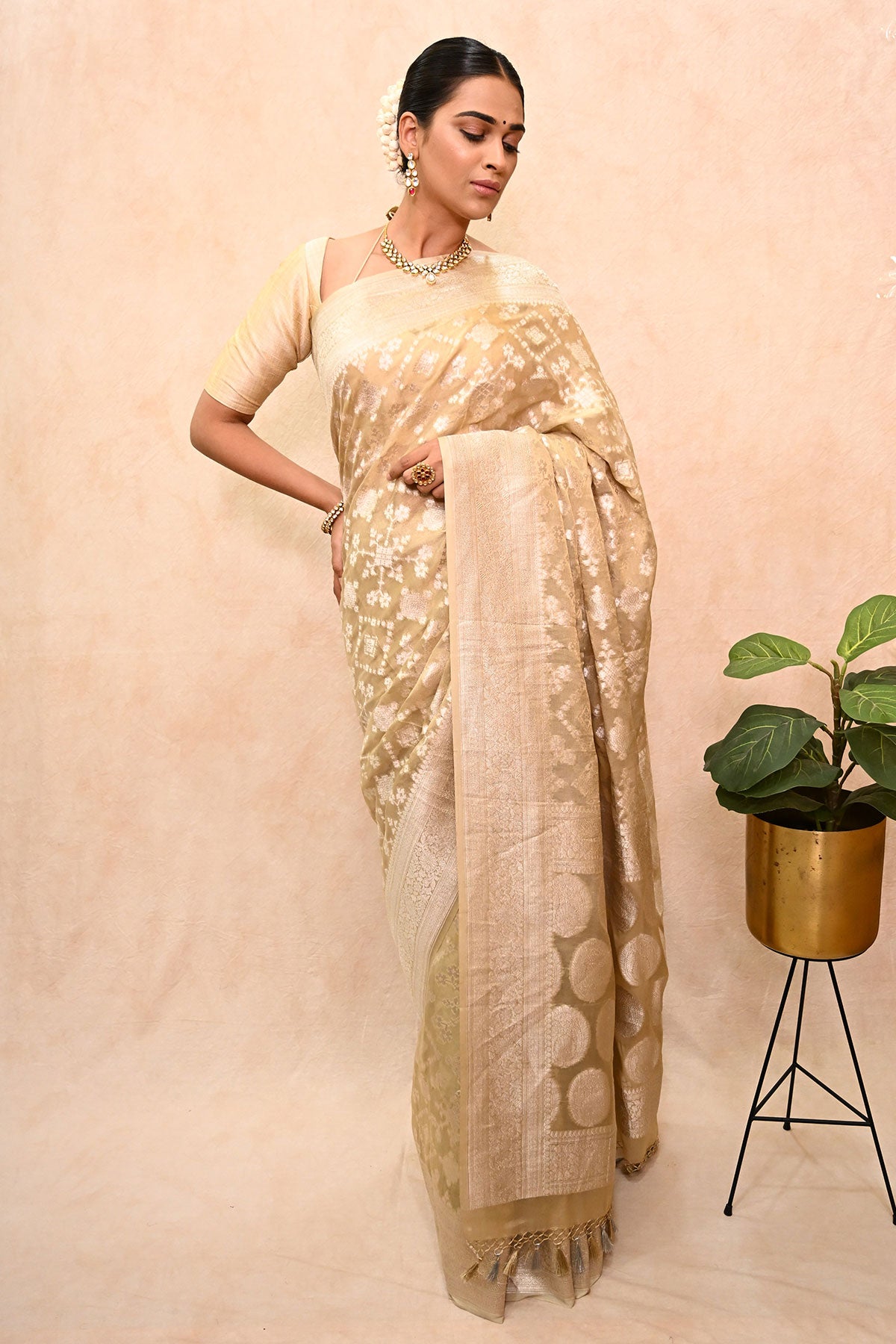 Pure Georgette Tissue Banarsi Saree with Rupa Work