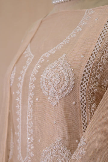 Beige Tissue Chanderi Chikankari Suit