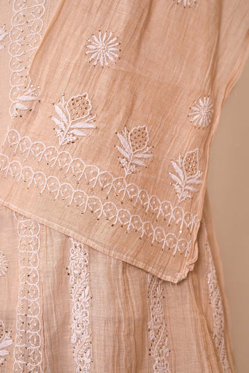 Beige Tissue Chanderi Chikankari Anarkali