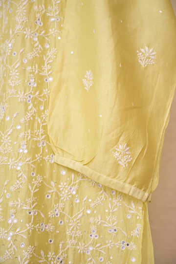 Light Lime Green Chanderi Chikankari Co-ord Set