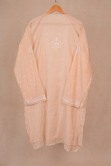 Beige Tissue Chanderi Chikankari Co-ord Set