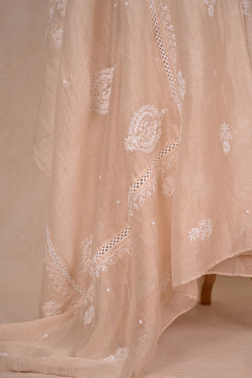 Beige Tissue Chanderi Chikankari Suit