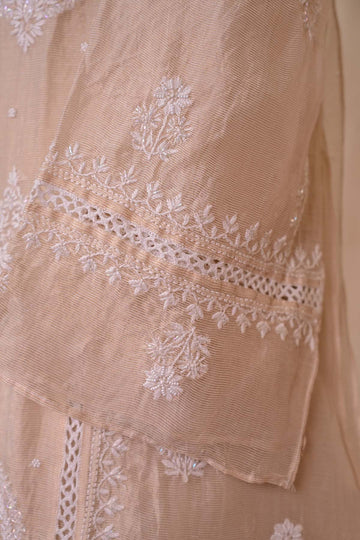 Beige Tissue Chanderi Chikankari Suit