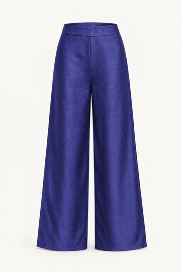 Steel Blue Banarasi Moonga Silk Suit